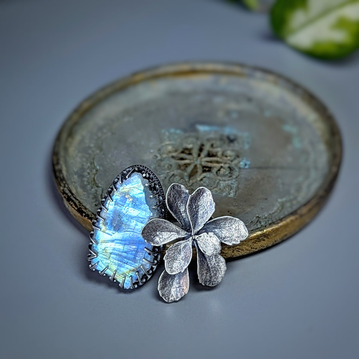 Gemmaflora Maxima: Rough Blue Moonstone Sterling Silver Cast Succulent Artisan Statement Ring
