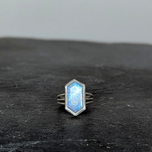 Special order for Christine