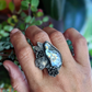 Rainbow moonstone and tourmaline sterling silver botanical statement ring